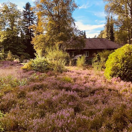 Landhaus Mitten In Der Lueneburger Heide Undeloh Bagian luar foto