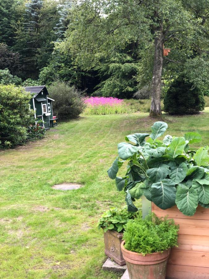 Landhaus Mitten In Der Lueneburger Heide Undeloh Bagian luar foto