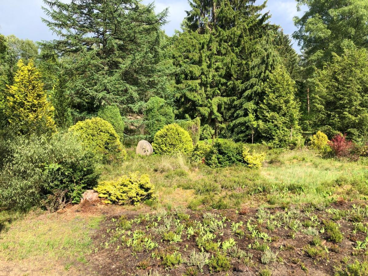 Landhaus Mitten In Der Lueneburger Heide Undeloh Bagian luar foto