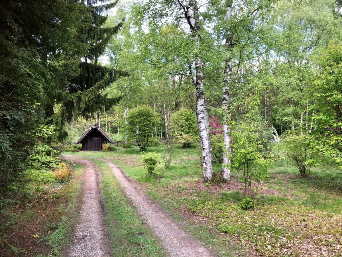 Landhaus Mitten In Der Lueneburger Heide Undeloh Bagian luar foto