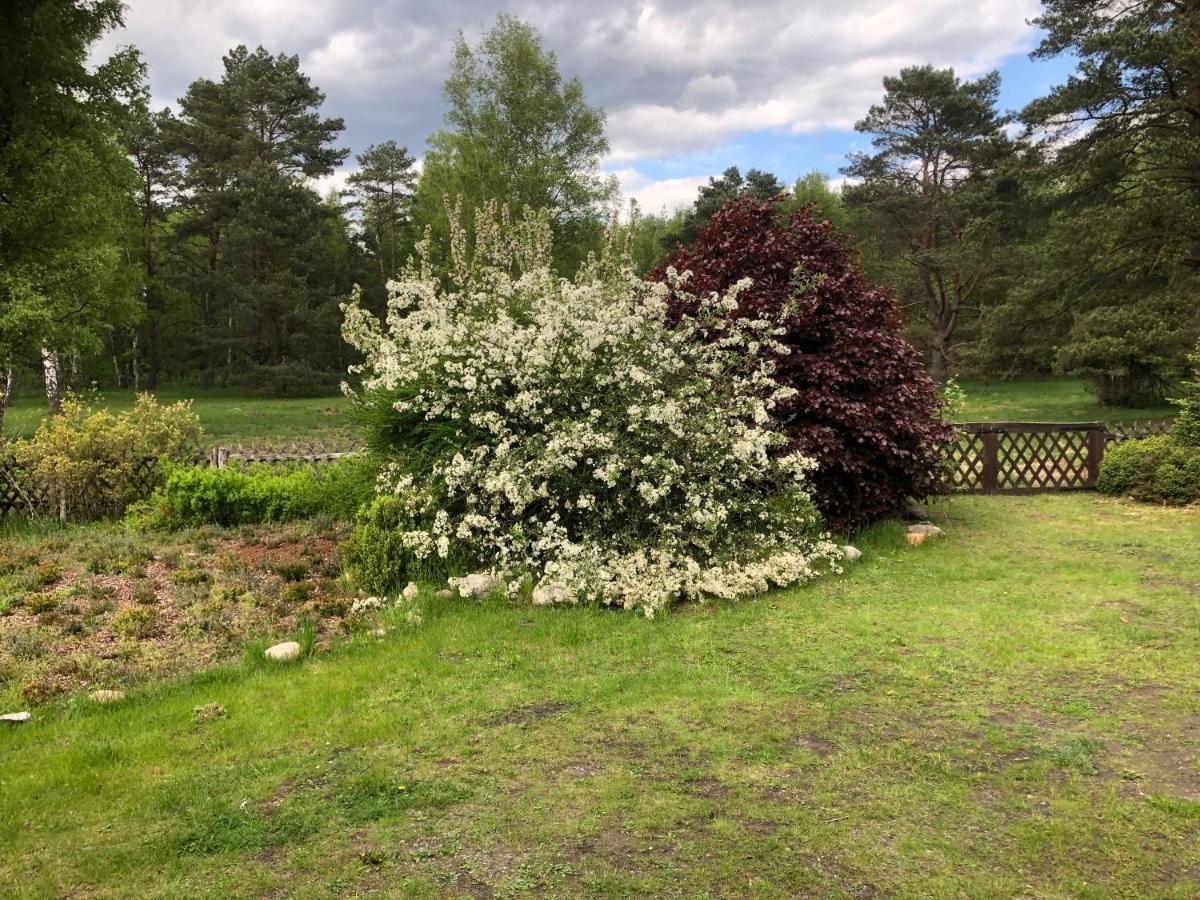 Landhaus Mitten In Der Lueneburger Heide Undeloh Bagian luar foto