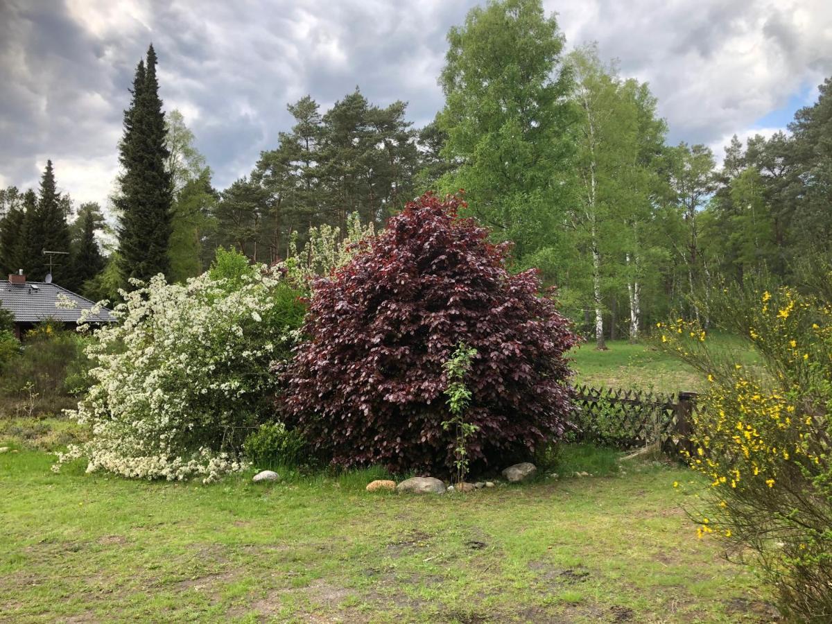 Landhaus Mitten In Der Lueneburger Heide Undeloh Bagian luar foto