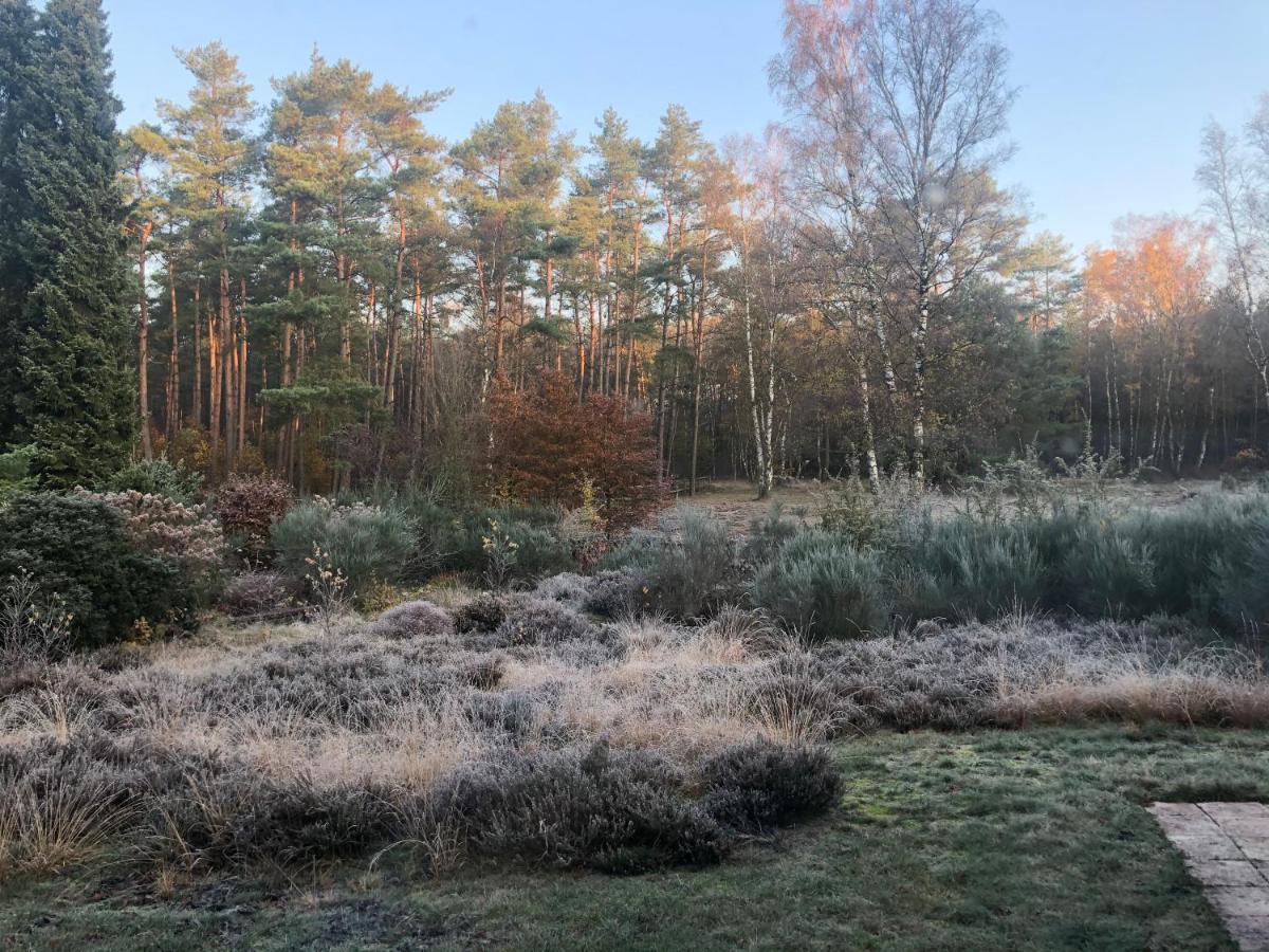 Landhaus Mitten In Der Lueneburger Heide Undeloh Bagian luar foto