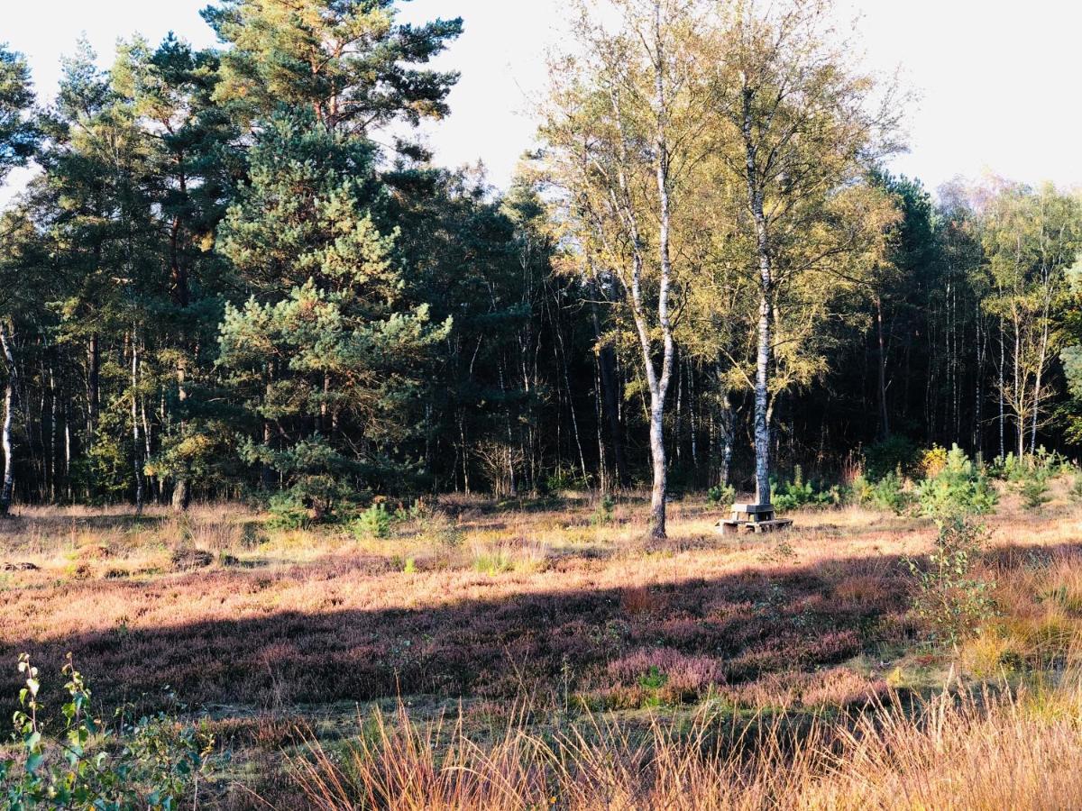 Landhaus Mitten In Der Lueneburger Heide Undeloh Bagian luar foto